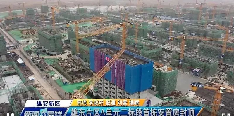 焦點(diǎn)！大將軍驚艷亮相雄安德維斯建博會，流量爆棚引圍觀！(圖7)