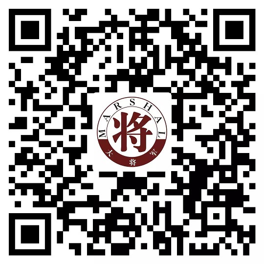 攻略丨了解多姿多彩的瓷磚紋理，才能裝出時尚有范的美好生活！
(圖17)