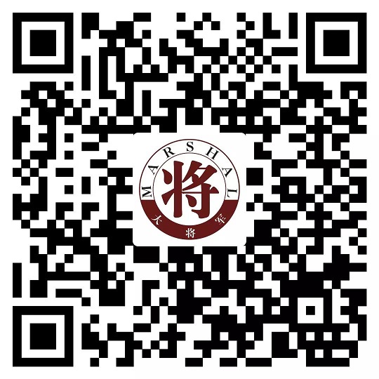 攻略丨了解多姿多彩的瓷磚紋理，才能裝出時尚有范的美好生活！
(圖11)